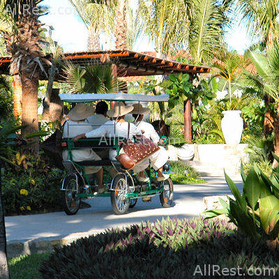 One&Only Palmilla Resort 5